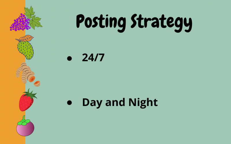 Social Media Strategy (3)